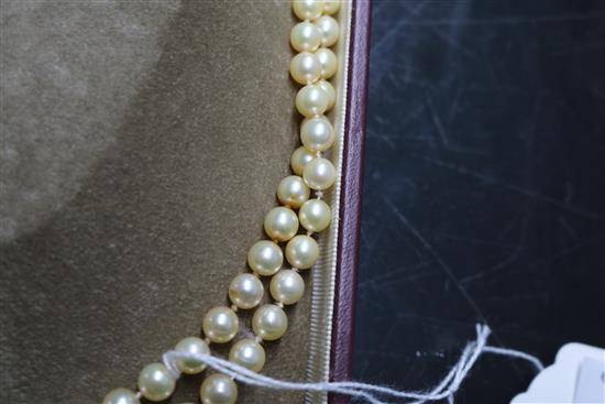 A Mikimoto pearl single strand long necklace with gold ball clasp (tests as 18ct) in Mikimoto box, 50 cm.